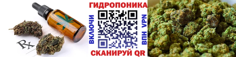 Canna-Cookies конопля  Дудинка 