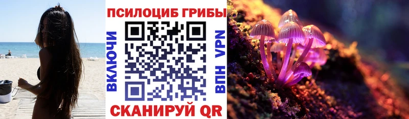 Псилоцибиновые грибы ЛСД  blacksprut вход  Дудинка 